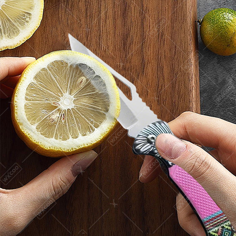 WXCOO Folding Knife Stainless  - Kitchen Gadgets And Equipment recension och pris
